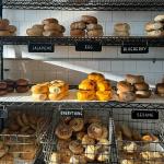 Profitable North Shore Bagel Café – $819K Revenue - $203K Cash Flow - Seller financing to qualified Buyer - Huge Growth Potential